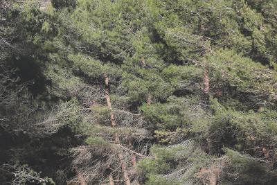 Agrandir l'image 2 sur 5, fenêtre modale