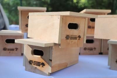 Agrandir l'image 1 sur 5, fenêtre modale