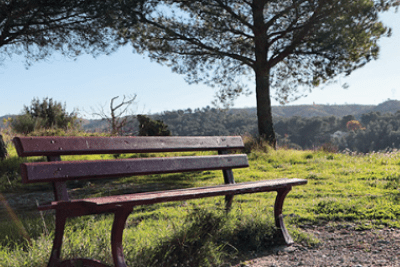 Agrandir l'image 1 sur 3, fenêtre modale