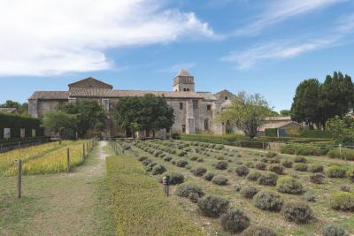 Vue extérieure d’un grand bâtiment en pierre avec une tour, entouré de jardins bien entretenus et de rangées de plantes. Le ciel est partiellement nuageux et des arbres bordent le site. L’ensemble évoque un lieu historique ou patrimonial dans un cadre naturel paisible. - Agrandir l'image 1 sur 6, fenêtre modale