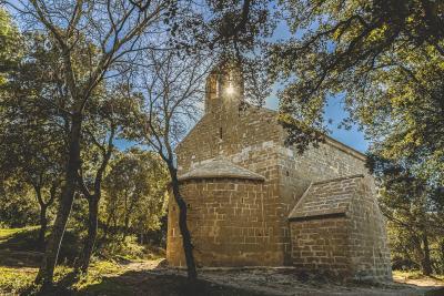 Petite chapelle en pierre avec clocher, située dans une clairière boisée, éclairée par le soleil filtrant à travers les arbres. - Agrandir l'image 2 sur 6, fenêtre modale