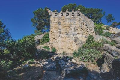 Tour en pierre à créneaux, perchée sur un rocher, entourée de végétation méditerranéenne, sous un ciel bleu. - Agrandir l'image 3 sur 6, fenêtre modale