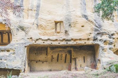 Paroi rocheuse sculptée avec niches et trous alignés, présentant des traces d’anciennes constructions, entourée de végétation. En fait, une habitation troglodyte. - Agrandir l'image 4 sur 6, fenêtre modale