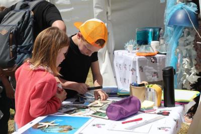 Agrandir l'image 5 sur 15, fenêtre modale