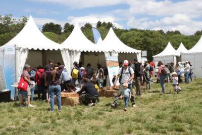 Agrandir l'image 11 sur 15, fenêtre modale