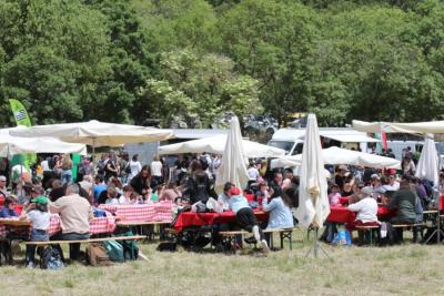 Agrandir l'image 12 sur 15, fenêtre modale