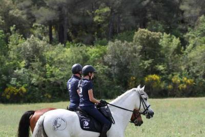 Agrandir l'image 2 sur 9, fenêtre modale