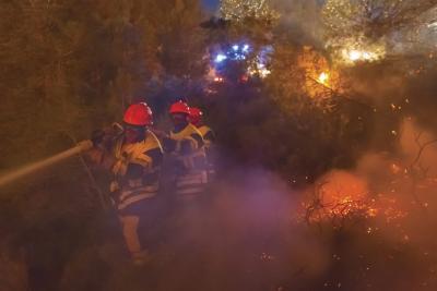 Agrandir l'image 4 sur 4, fenêtre modale