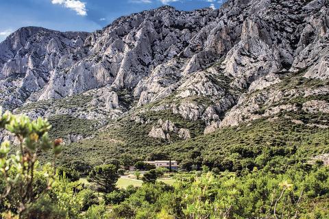 la colline sainte-victoire, paysage typique provençale, mélé d'arbre et de roche blanche