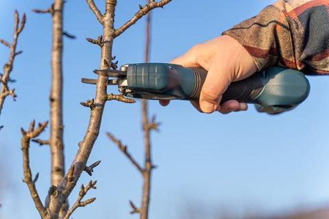 Vue d'un sécateur électronique