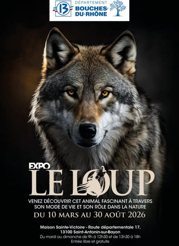 Expo le loup venez découvrir cet animal fascinant à travers son mode de vie et son rôle dans la nature du 10 mars au 30 août 2026 - Agrandir l'image, fenêtre modale
