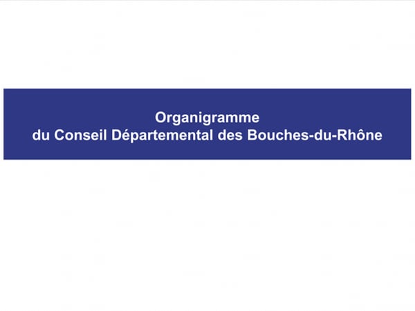 Organigramme du Conseil départemental