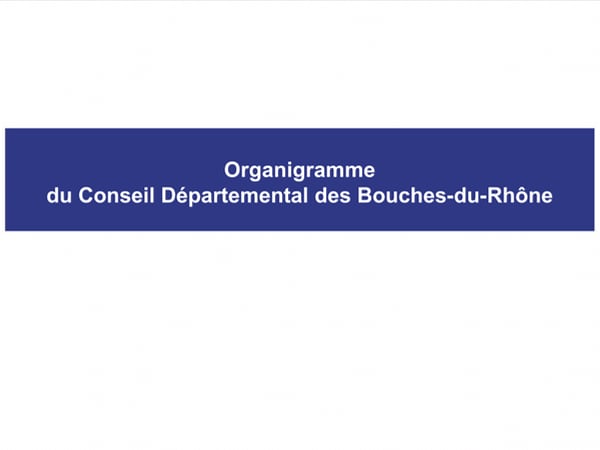Organigramme du Conseil départemental Organigramme du Conseil départemental