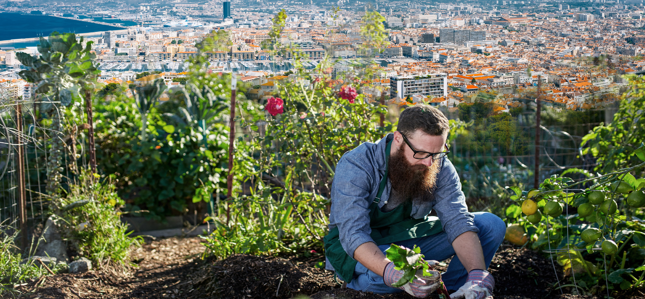 L'agriculture urbaine