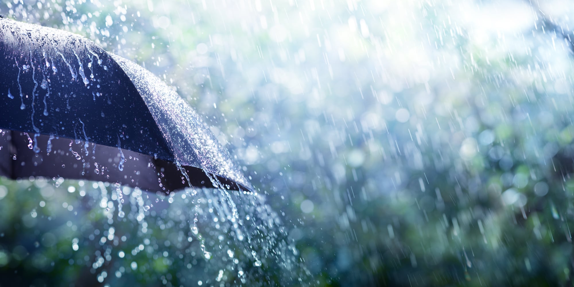 Retenir l'eau de pluie sur sa parcelle, pour quoi faire ?